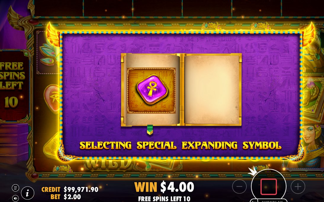 Free Spins screen with the Special Expanding Symbol in play